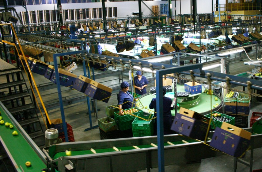 Comercio, gestión y venta