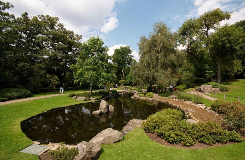 Landscape architecture - gardening